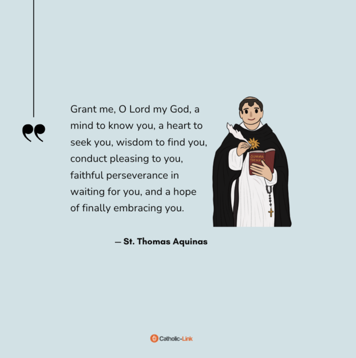 "Grant me, O Lord my God, a mind to know you, a heart to seek you, wisdom to find you, conduct pleasing to you, faithful perseverance in waiting for you, and a hope of finally embracing you."
— St. Thomas Aquinas
